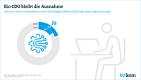 Der Chief Digital Officer bleibt die Ausnahme